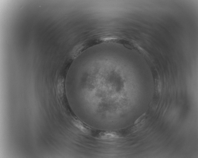 X0000062130475200512121220