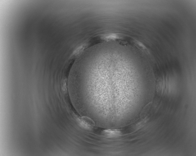 X0000062130477200512121220