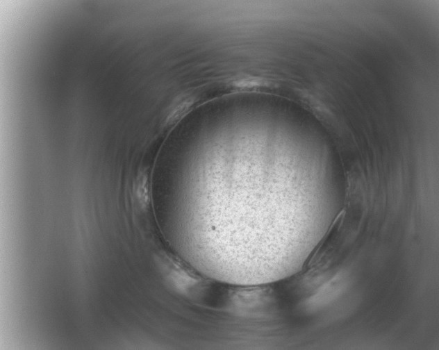 X0000062130479200512121220