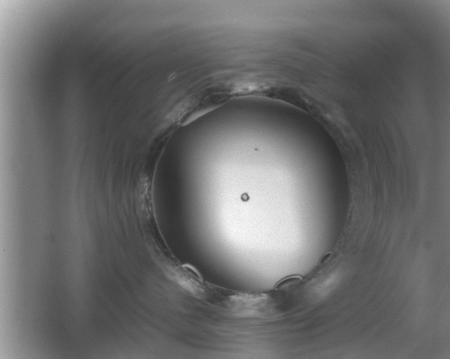 X0000062130480200512121220