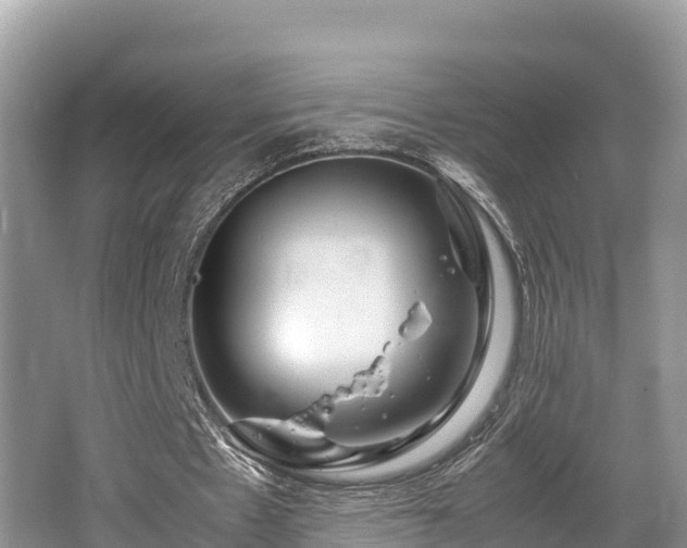 X0000062130481200512121219