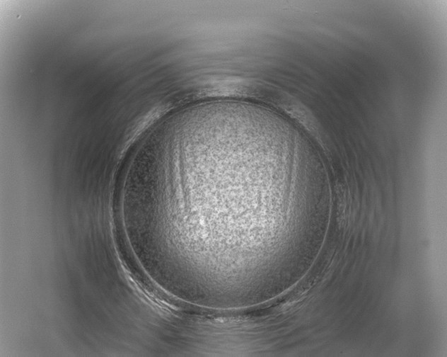 X0000062130482200512121219