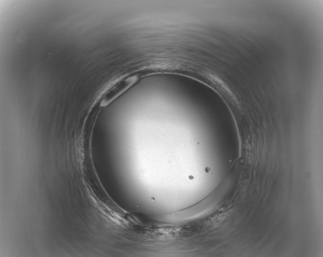 X0000062130484200512121219