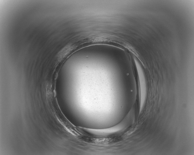 X0000062130485200512121219