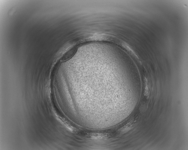 X0000062130486200512121219