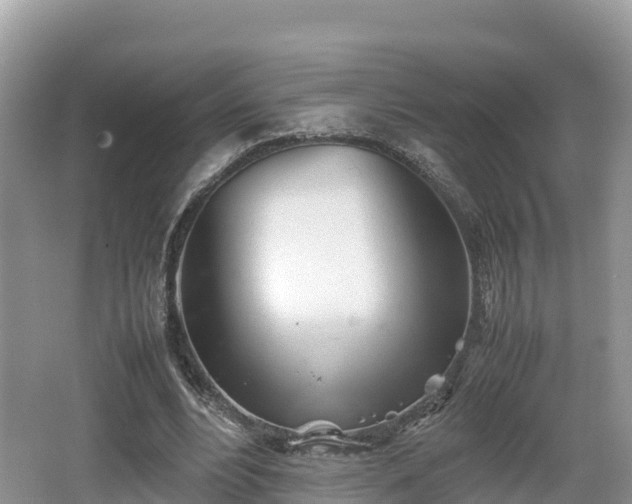 X0000062130488200512121219