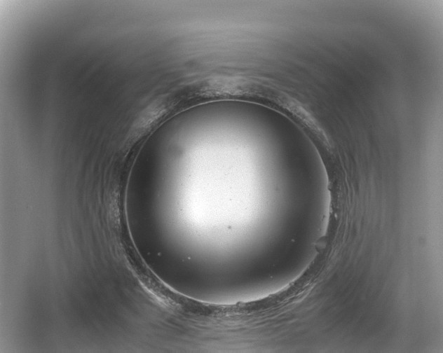 X0000062130489200512121219