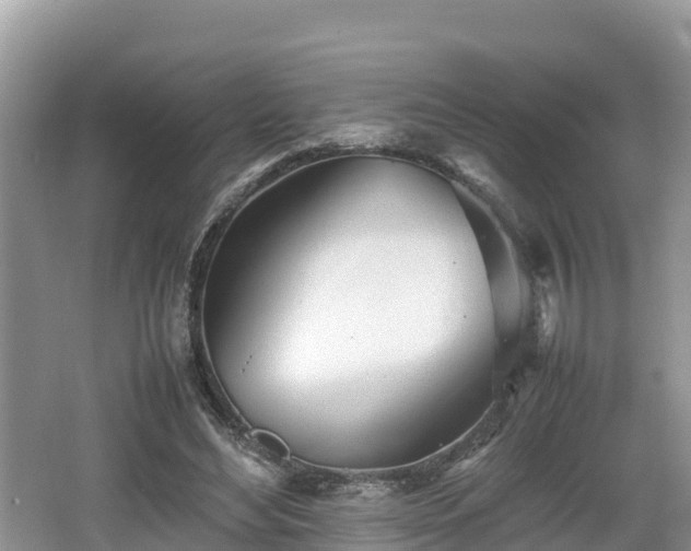 X0000062130492200512121219