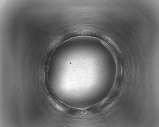 X0000062130493200512121219