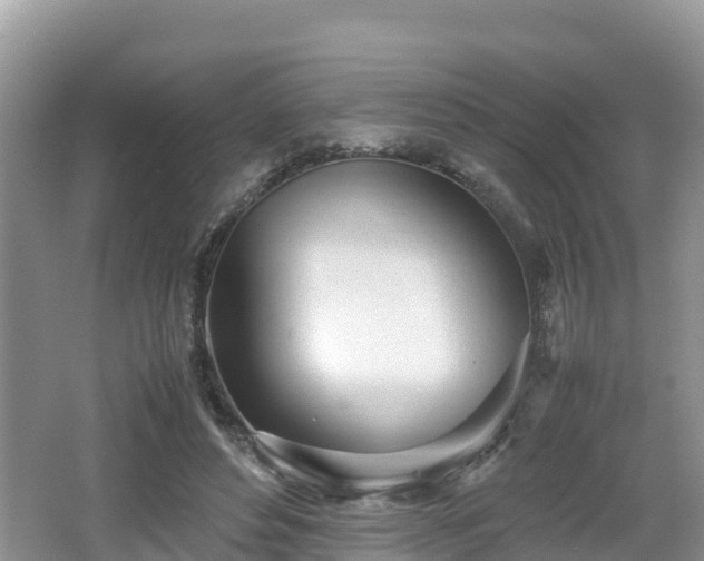 X0000062130496200512121219