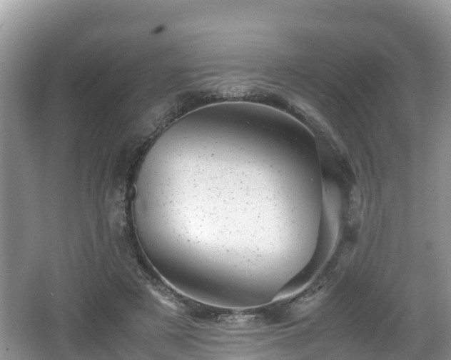 X0000062130497200512121219