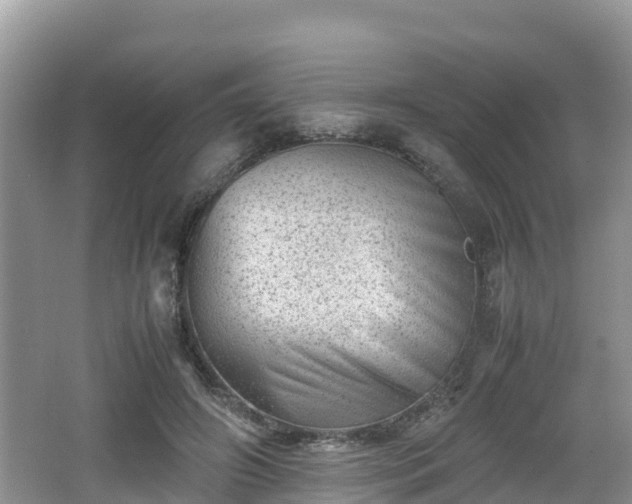 X0000062130498200512121219