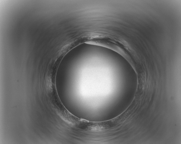 X0000062130500200512121219