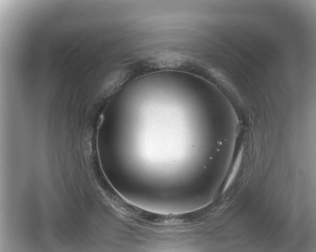 X0000062130501200512121219