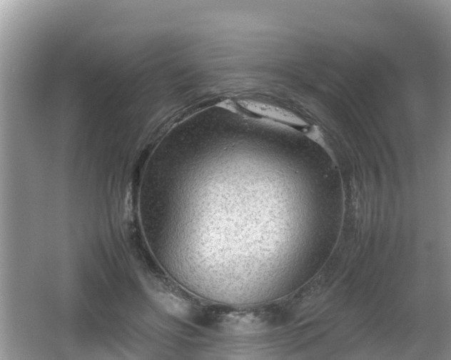 X0000062130502200512121219