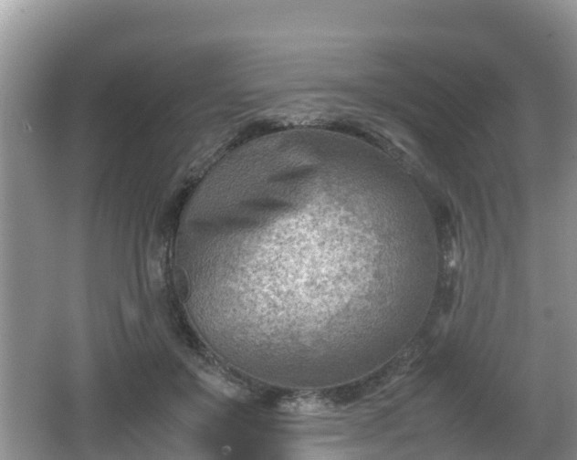 X0000062130503200512121219