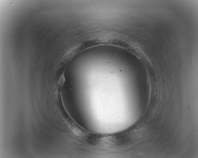 X0000062130505200512121219