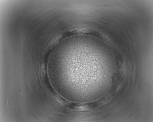 X0000062130506200512121219