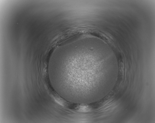 X0000062130507200512121219