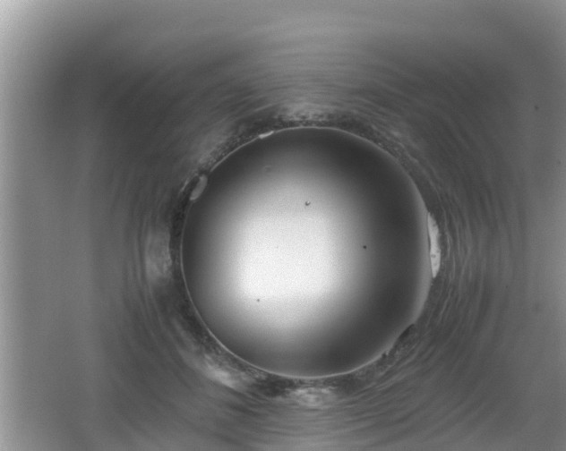 X0000062130508200512121219