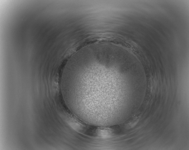 X0000062130510200512121219