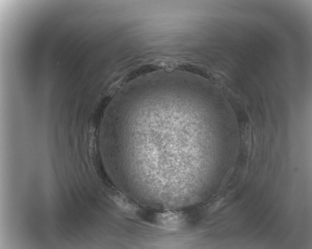 X0000062130511200512121219