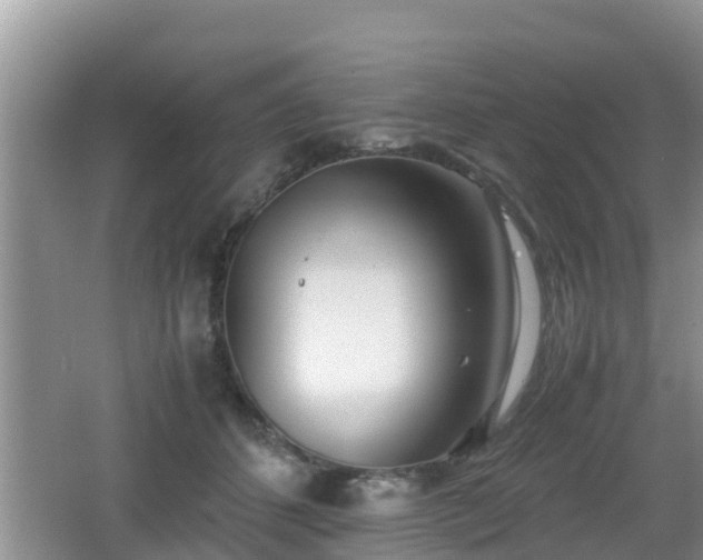 X0000062130512200512121219