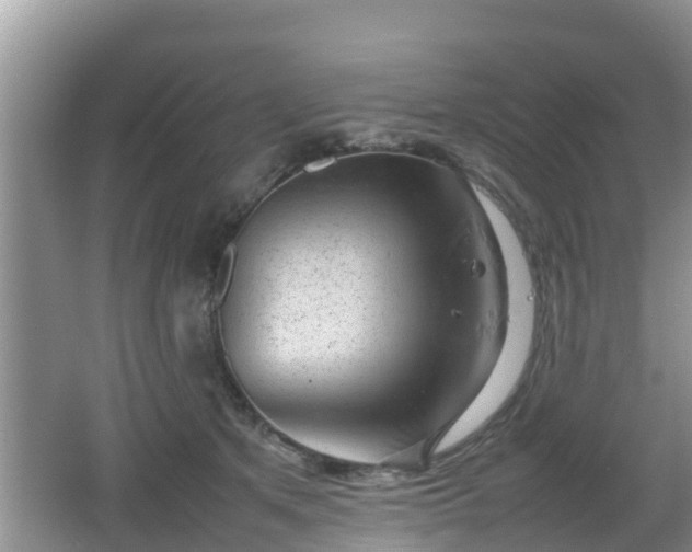 X0000062130513200512121219