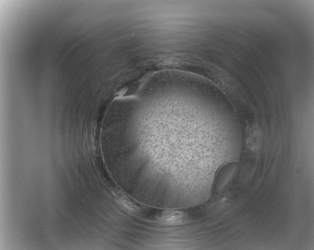 X0000062130514200512121219