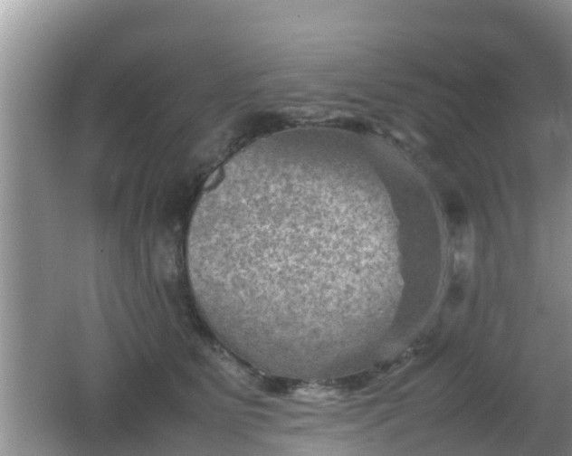 X0000062130515200512121219