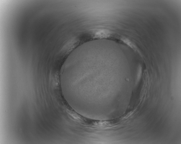 X0000062130517200512121219