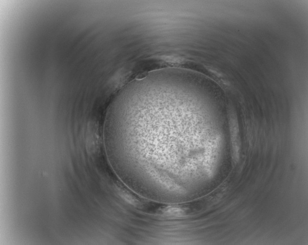 X0000062130518200512121219