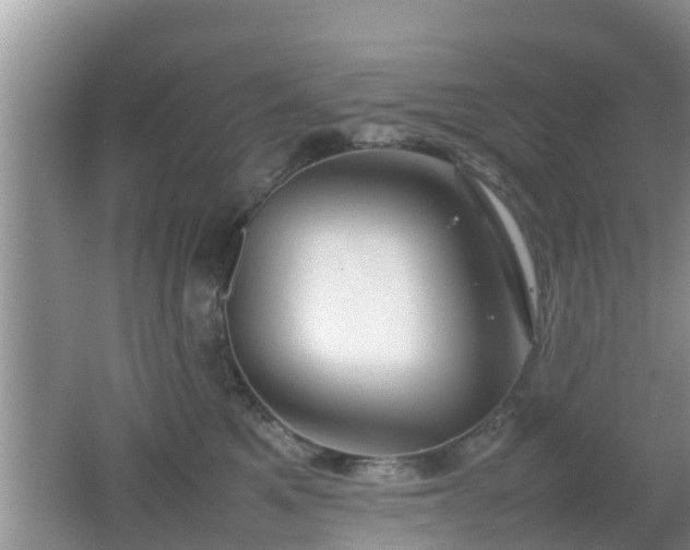 X0000062130521200512121219