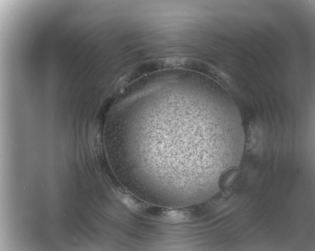 X0000062130522200512121219