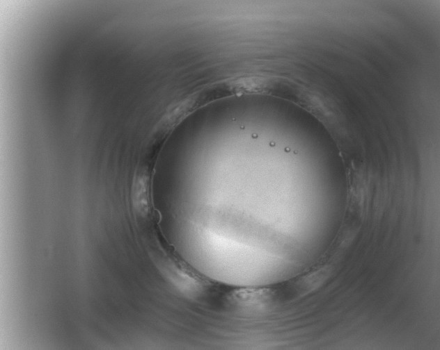 X0000062130526200512121218