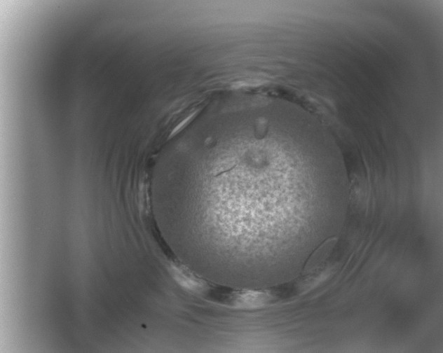 X0000062130527200512121218