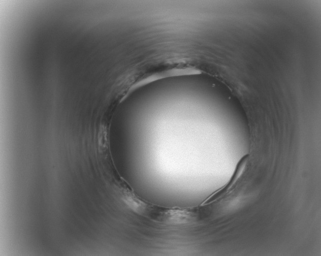 X0000062130528200512121218