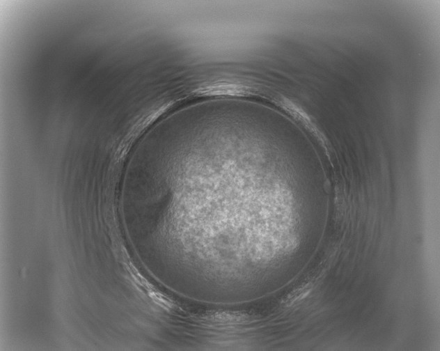 X0000062130529200512121218