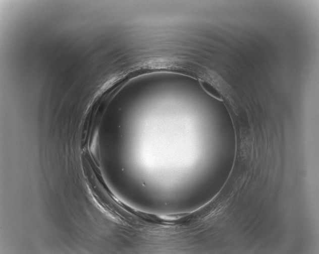 X0000062130530200512121218