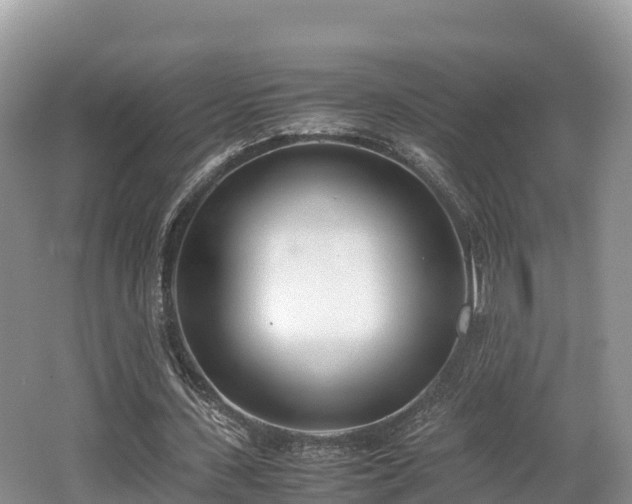 X0000062130531200512121218