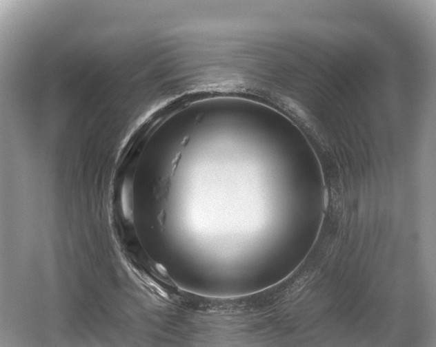 X0000062130532200512121218