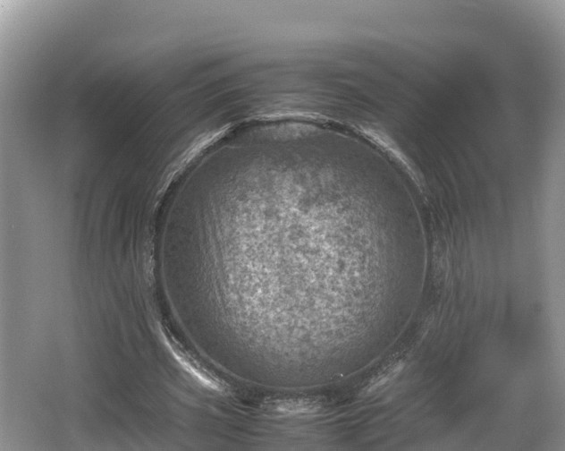 X0000062130533200512121218