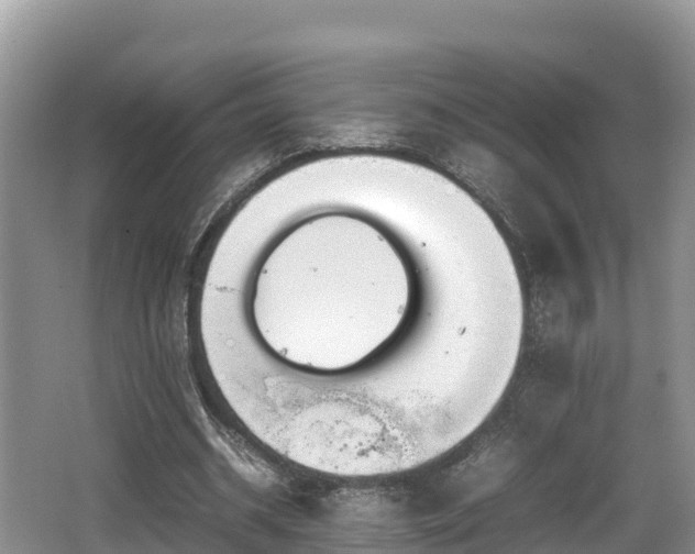 X0000062130534200512121218