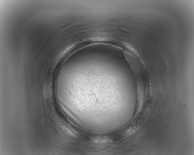 X0000062130535200512121218