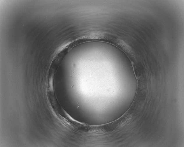 X0000062130536200512121218