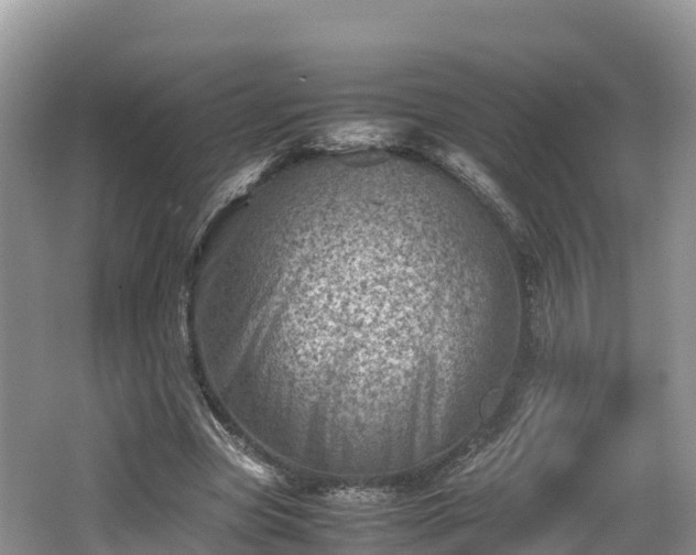 X0000062130537200512121218