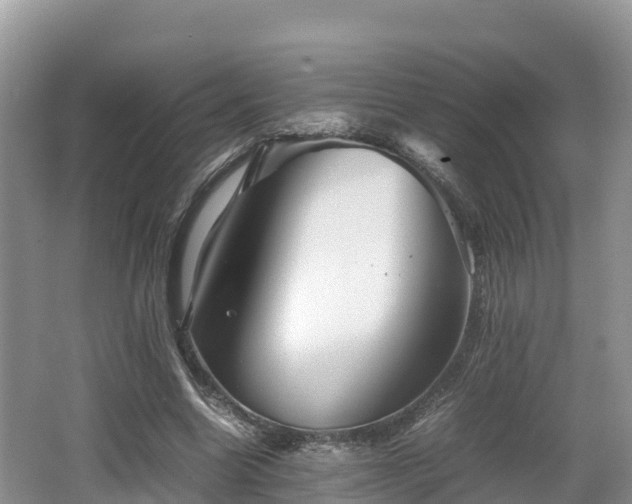 X0000062130538200512121218