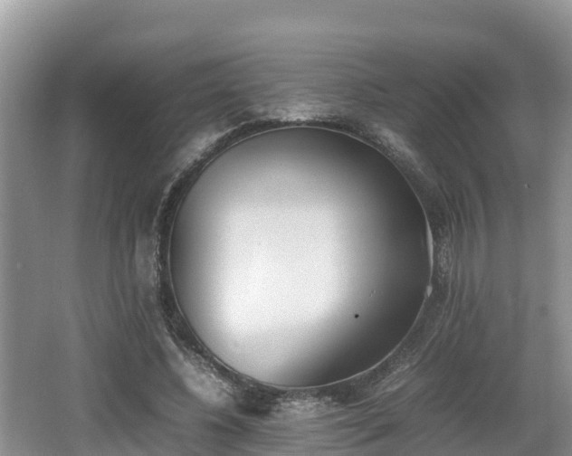 X0000062130540200512121218