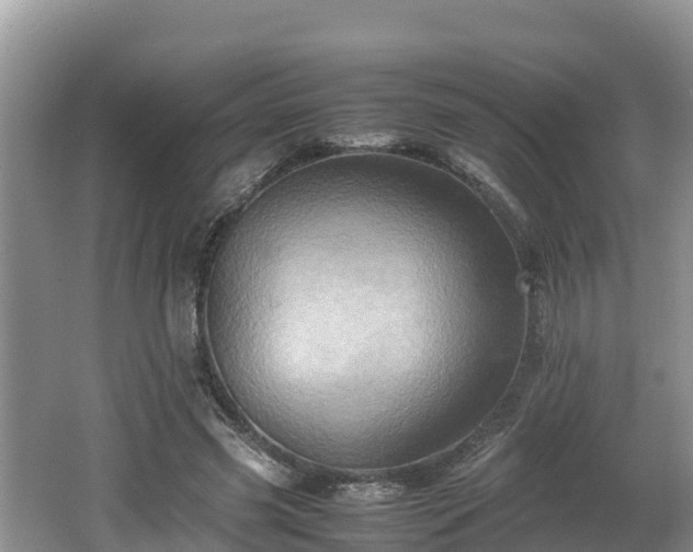 X0000062130541200512121218