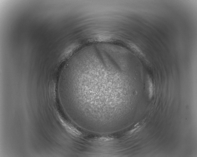 X0000062130542200512121218